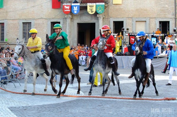 Donkey Palio