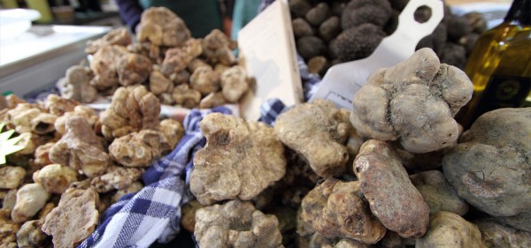 National White Truffle Fair