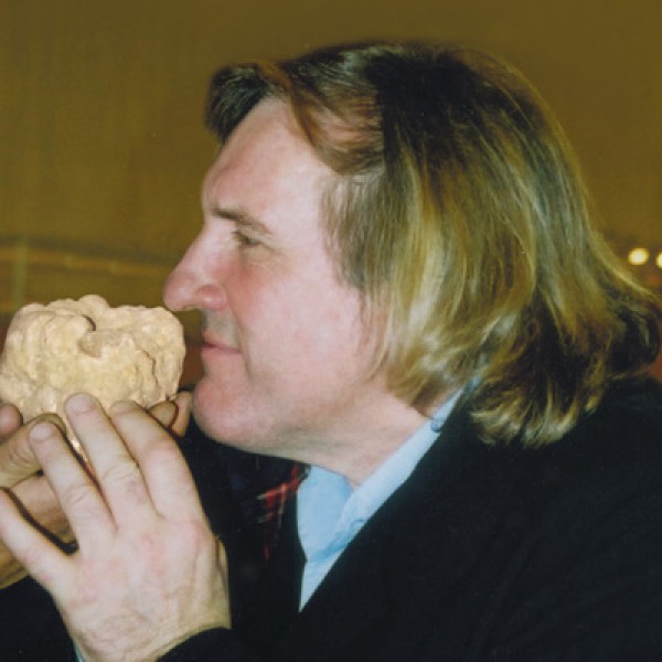 Alba Truffle Show
